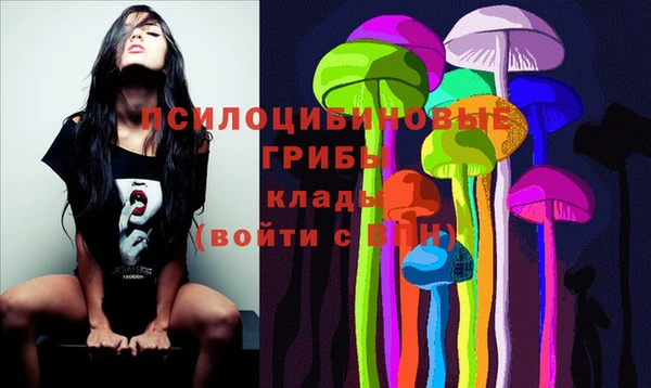 PSILOCYBIN Баксан