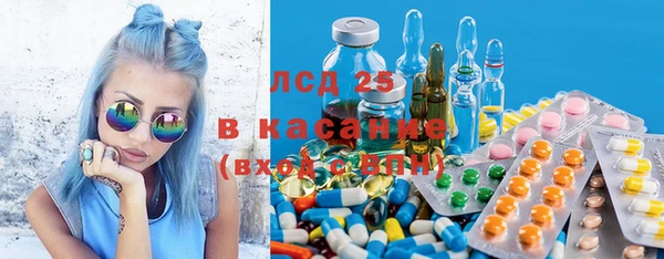 PSILOCYBIN Баксан