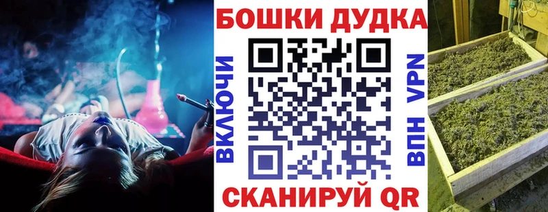 Купить где  Аша  Канабис ГИДРОПОН 